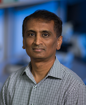 Mohan Kaadige, Ph.D.