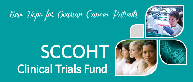 Small Cell Carcinoma of the Ovary, Hypercalcemic Type - Clinical Trials Fund