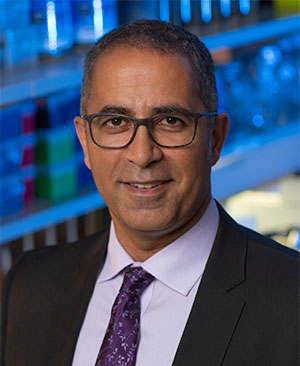 Joseph Mikhael, M.D. 