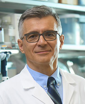 Aleksandar Sekulic, M.D., Ph.D.