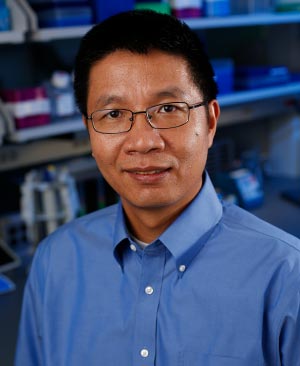 Haiyong Han, Ph.D.