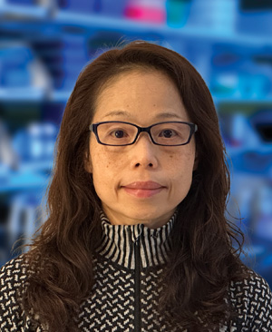 Agnes Chan, Ph.D.