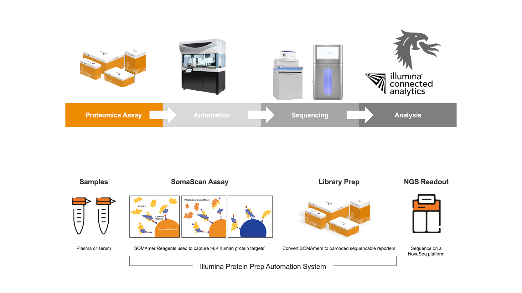 Plasma proteome profiling using Illumina Protein Prep, powered by ...